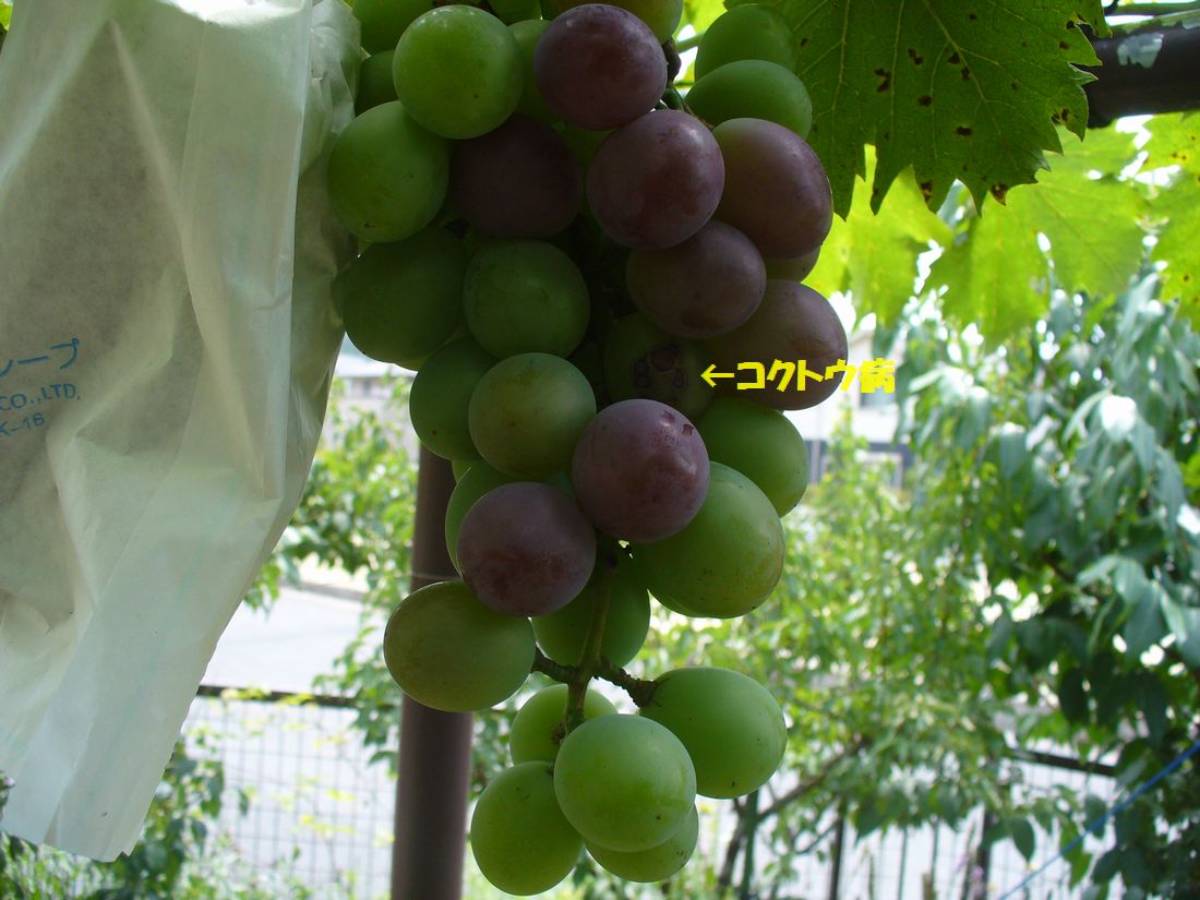 f0346527_22382522.jpg
