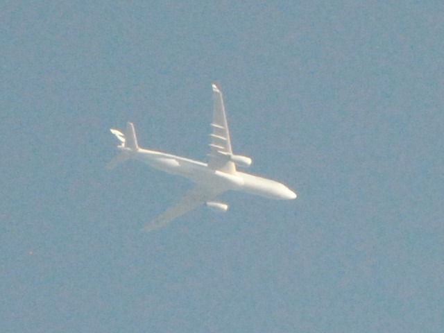 b0000829_7355295.jpg