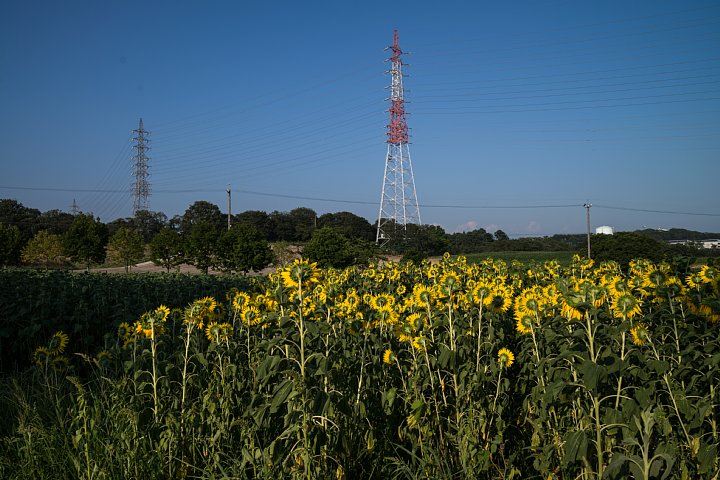 b0134829_1472391.jpg