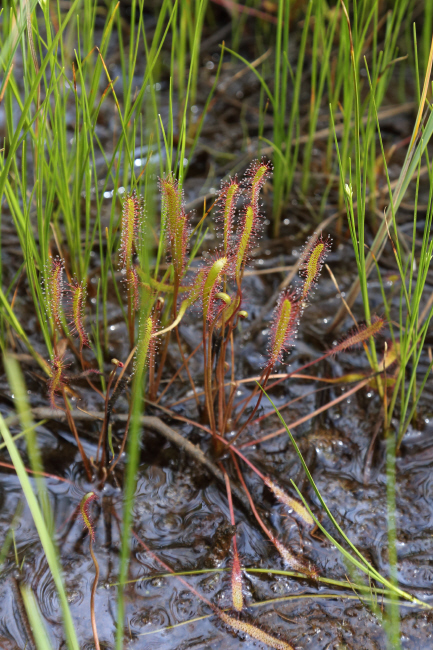 f0017530_2223445.jpg