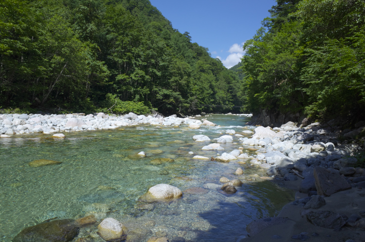 b0237035_11423469.jpg