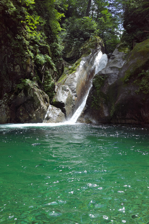 b0237035_1143995.jpg