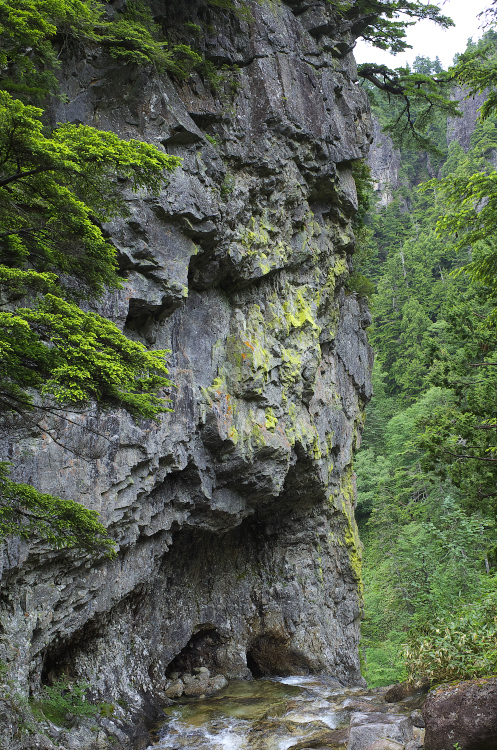 b0237035_11463687.jpg