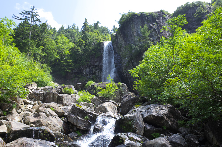 b0237035_1146547.jpg