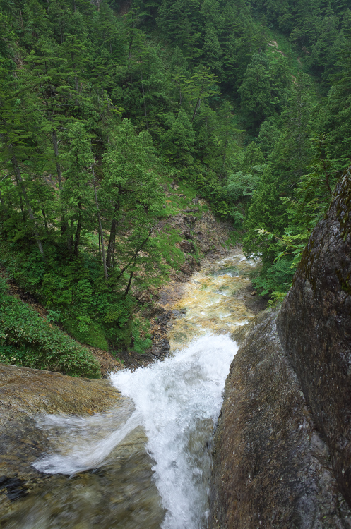b0237035_114673.jpg