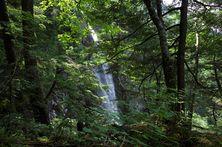 b0237035_11472346.jpg
