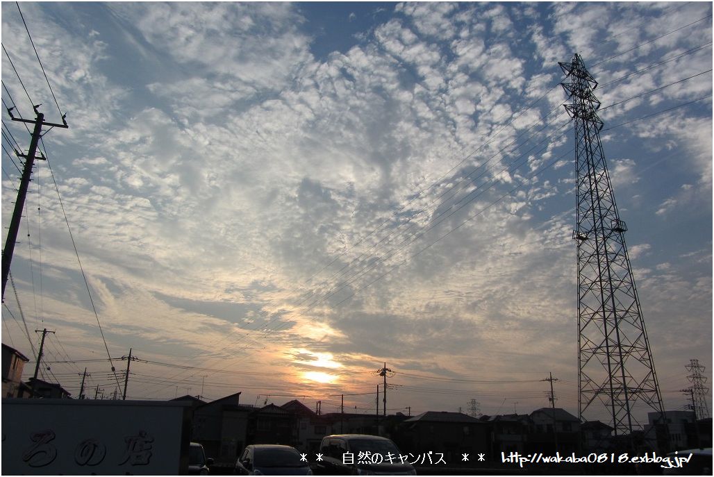 e0052135_22482314.jpg