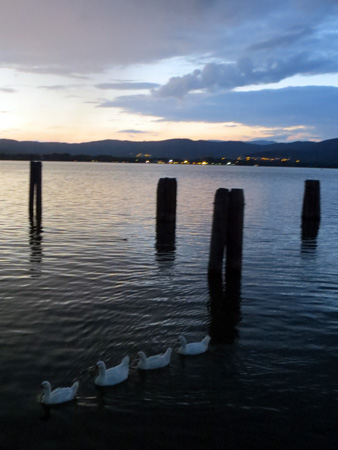 f0234936_638318.jpg