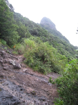 c0077338_5473789.jpg