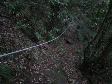 c0077338_5475185.jpg