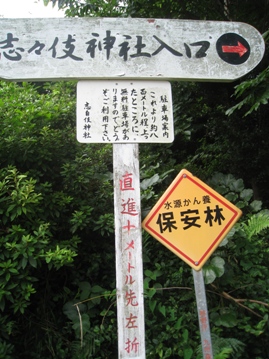c0077338_550267.jpg