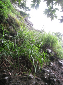 c0077338_5513782.jpg