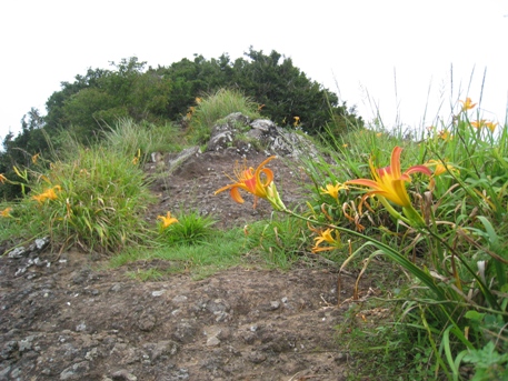 c0077338_5515067.jpg