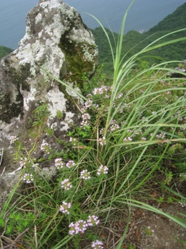 c0077338_552187.jpg