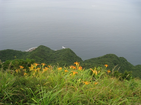 c0077338_5522840.jpg