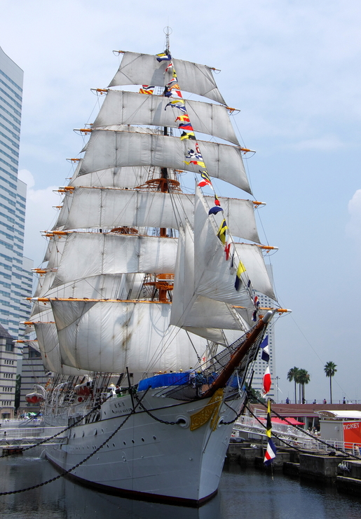b0242140_1694662.jpg