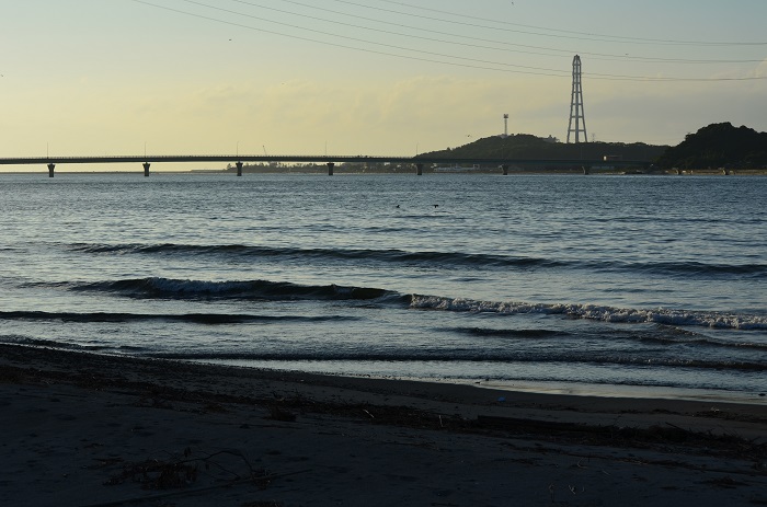a0146442_8121715.jpg