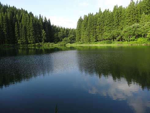 d0179044_1014211.jpg