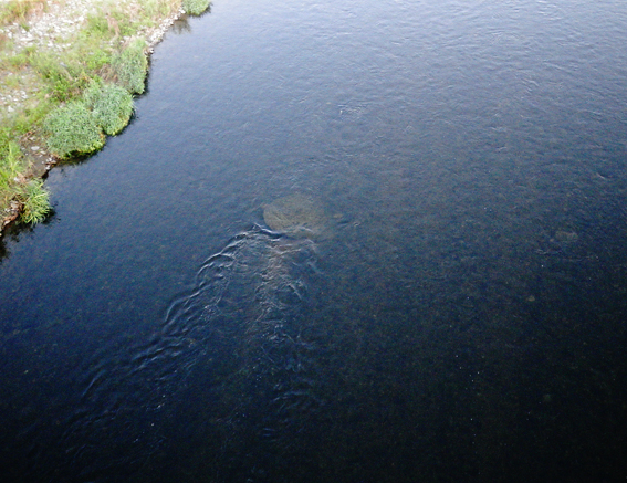f0161647_13203373.jpg