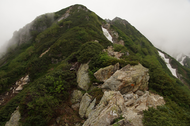f0214649_451292.jpg