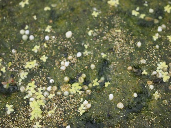 b0246758_21150445.jpg