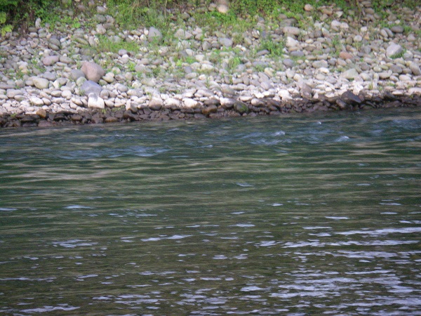 f0212059_21484318.jpg