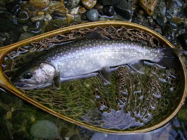 f0212059_223836.jpg