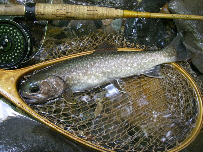 f0212059_2282993.jpg