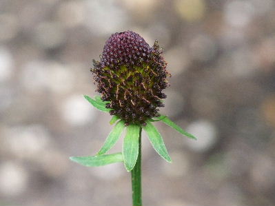 e0088260_11163227.jpg