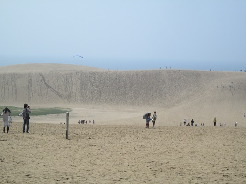 d0029363_18582268.jpg