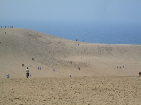 d0029363_18583026.jpg