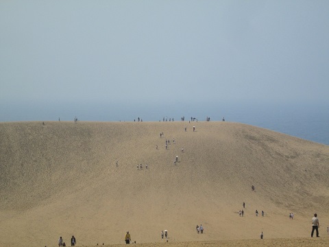 d0029363_18585069.jpg