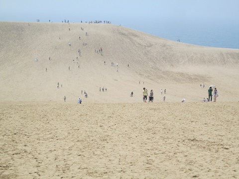d0029363_1859222.jpg