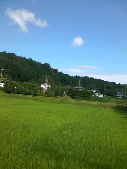 f0061067_1994788.jpg