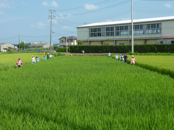 b0197668_15131321.jpg