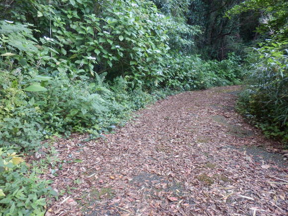 e0292172_20573759.jpg