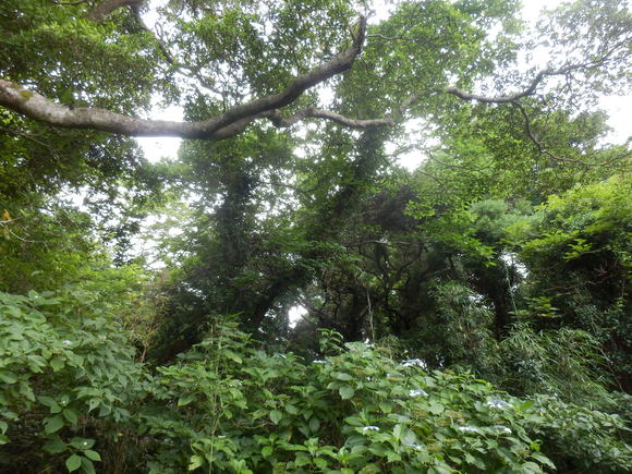 e0292172_20581380.jpg