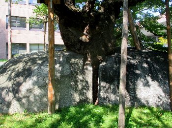 f0003283_18152092.jpg