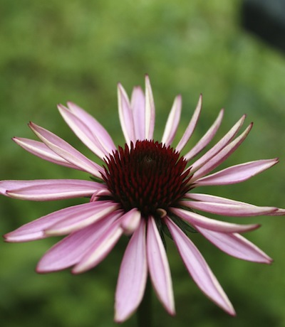 f0159388_23175554.jpg