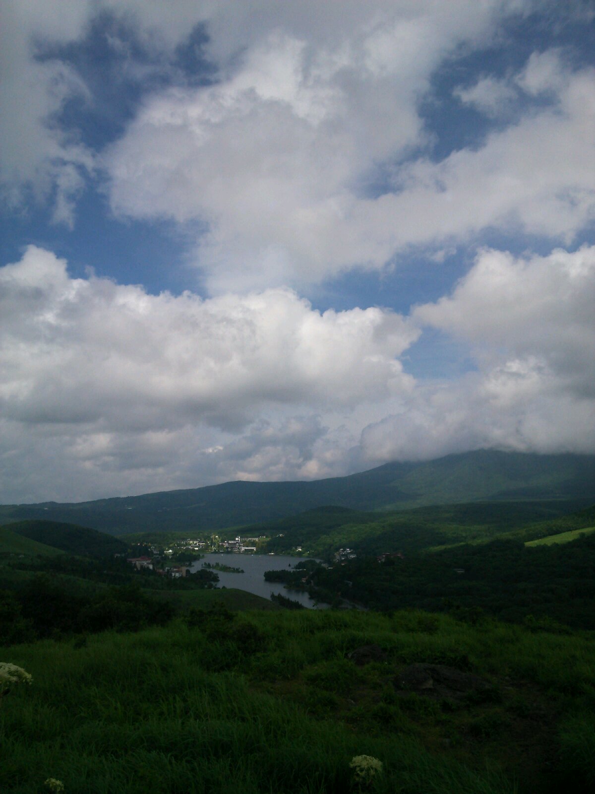 f0122998_1649362.jpg
