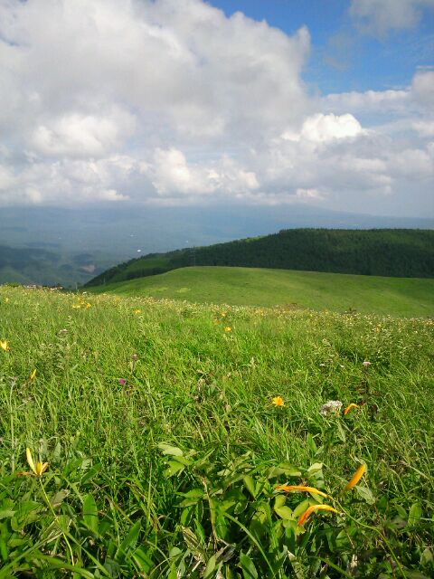 f0122998_16493642.jpg