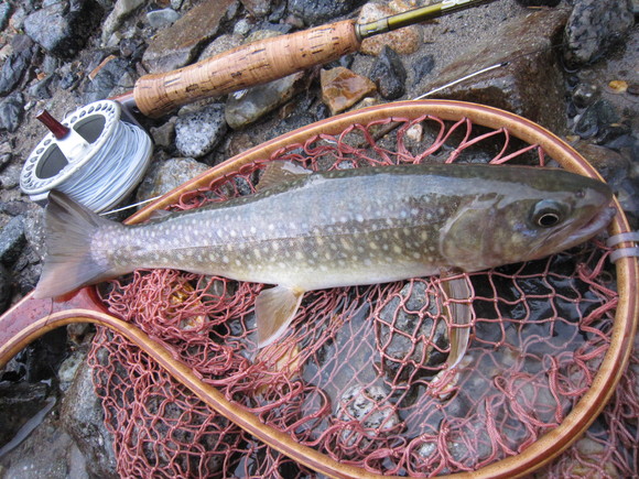d0241509_21151461.jpg