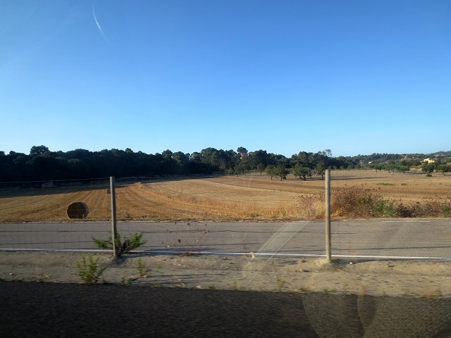 b0064411_06234964.jpg