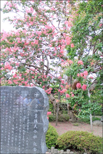 c0157412_2232132.jpg