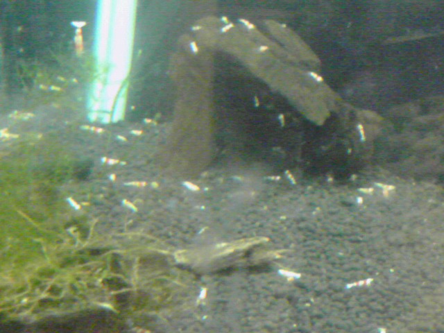 a0291521_9122587.jpg