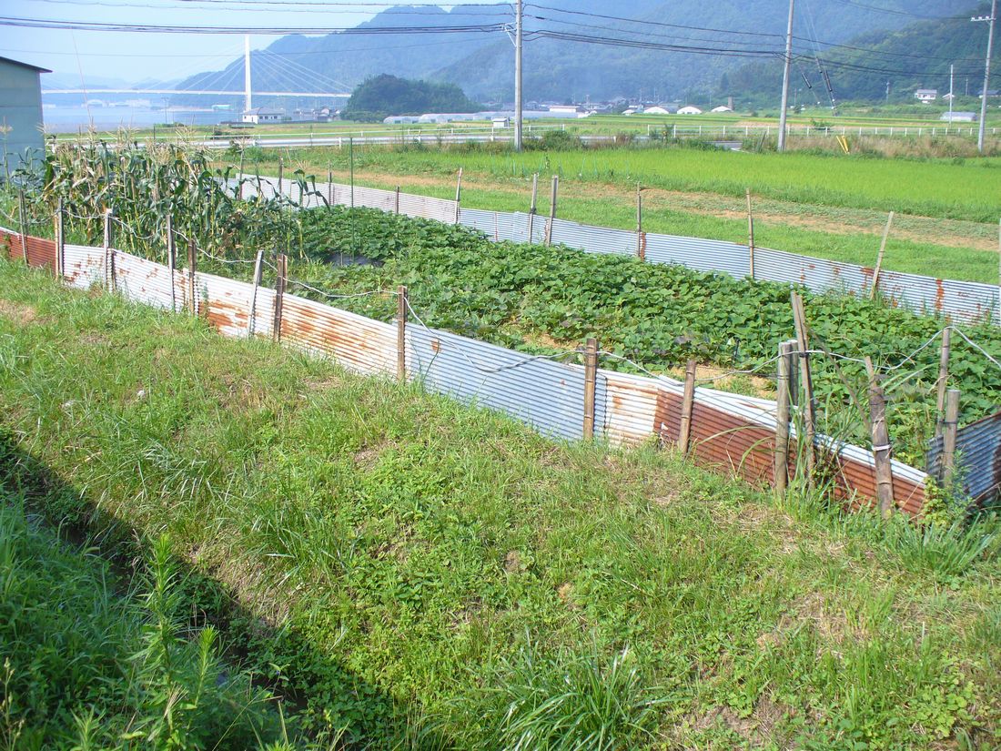 f0346527_22204243.jpg