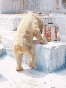 c0188928_23455933.gif