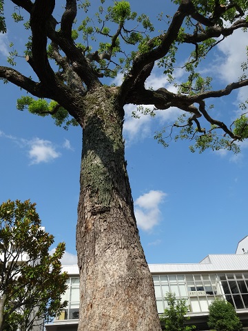a0024829_13564696.jpg