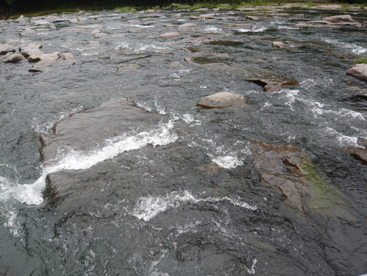 a0206332_1042356.jpg