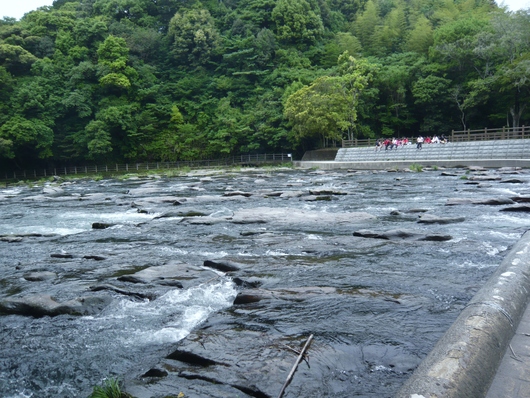 a0206332_9251370.jpg